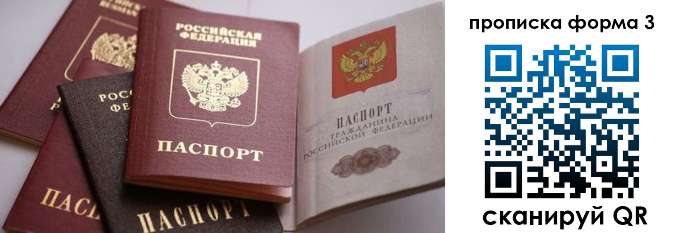 прописка для школы в Кингисеппе